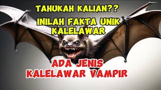 Fakta Unik Tentang Kelelawar ‼️ Ada Kelelawar Jenis Vampir