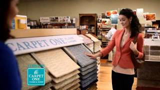 Information Beautiful Guarantee 2015 News