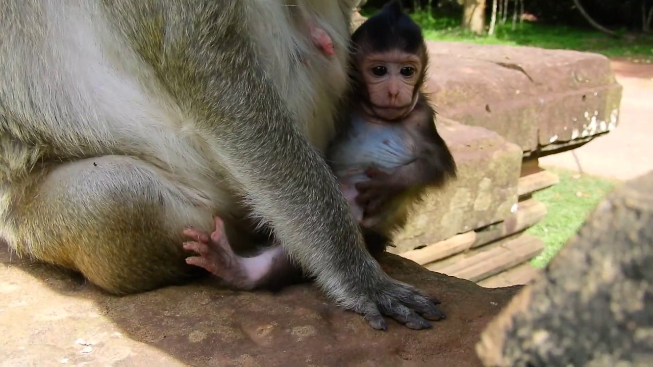 foundry Lizza Trying Nasty Female Mad/Lizza do Touching Her