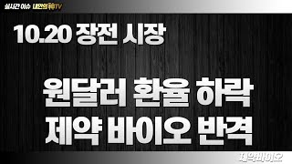 10월 20일 장전 원달러 환율 하락 & 제약 바이오의 반격