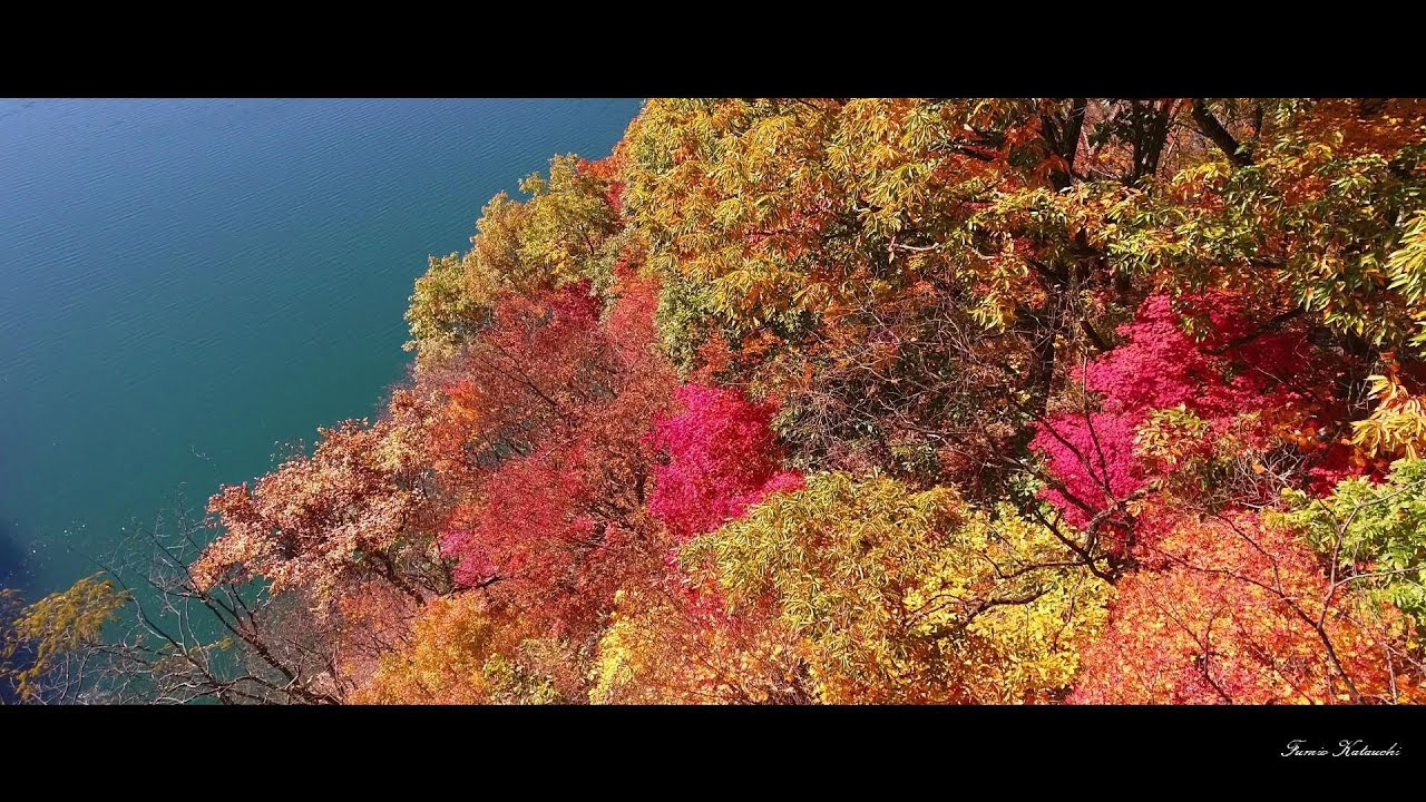 紅葉　【 下若生子林道 】　4K空撮