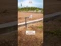 DTCP RERA plots in VASIYAAPURAM, 4 KMS FROM POLLACHI TOWN BUS STAND, Coimbatore, Tamilnadu, India.