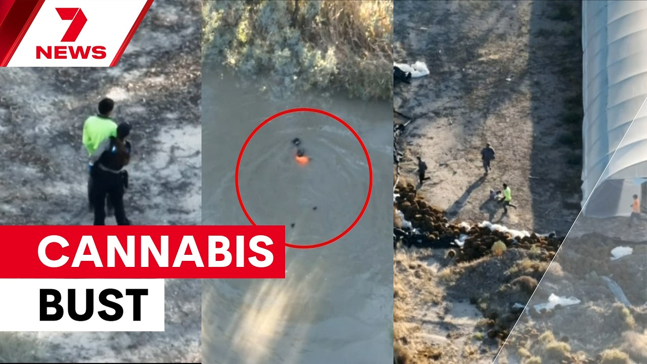 Four arrested after fleeing through bush during $10m drug bust | 7NEWS ...