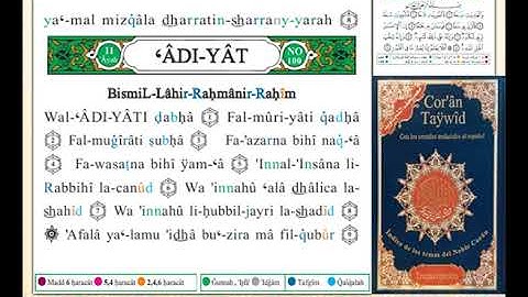 ختمة من مصحف التجويد باللغة الإسبانية الصفحة رقم 599