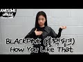 Na haeun  blackpink  how you like that  dance cover