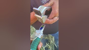 Taking A Brix Reading With A Refractometer