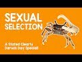 Darwin Day Special! What is Sexual Selection?