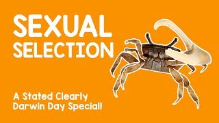 Darwin Day Special! What is Sexual Selection?