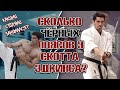 Скотт Эдкинс. Сколько ЧЁРНЫХ ПОЯСОВ у Юрия Бойки? Какими СТИЛЯМИ занимался Неоспоримый?