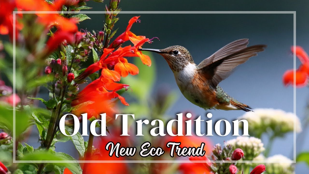 From Lawns to Meadows | Why Sustainable Gardens Are Taking Over in the US 2025