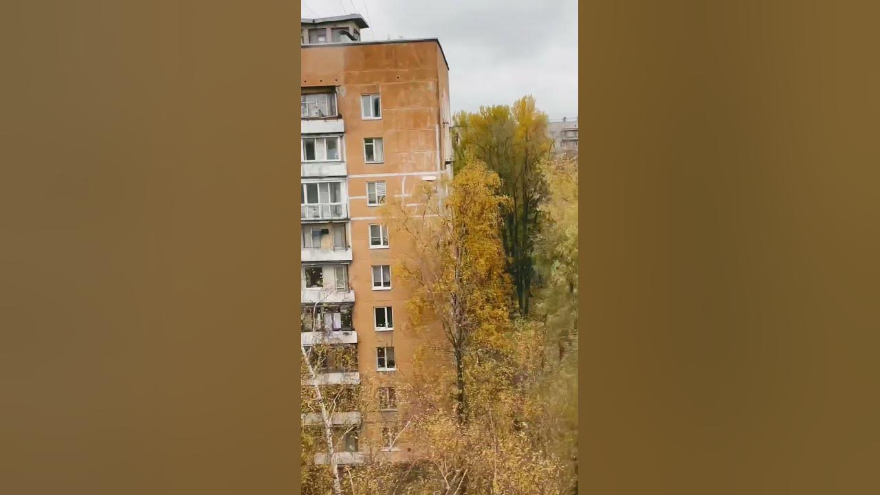 Шоу за стеклом! #питер#ленинскийпроспект#страх - YouTube