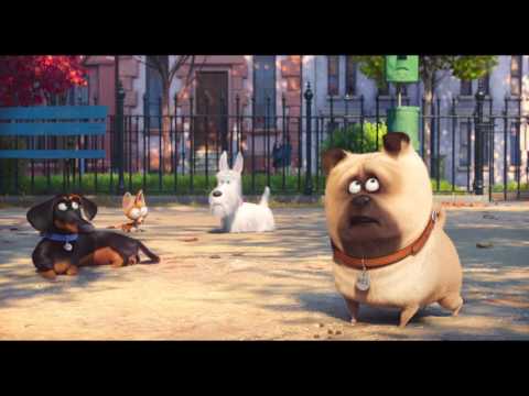 WATCH The Secret Life Of Pets Full MOVIE (Online Free)