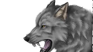 Wolf Snarling Test