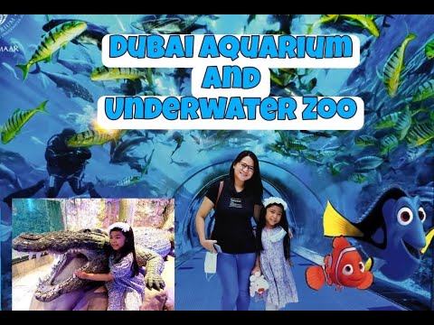 Dubai Aquarium and Underwater Zoo 2022 at Dubai Mall l FREE TICKETS l We found Nemo and Dory!