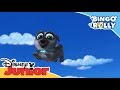 Las mejores canciones de Bingo y Rolly | Disney Junior Oficial