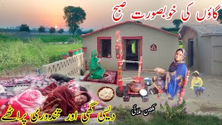 village woman morning routine village life in Pakistan mudhouselifestyle villagemorningroutine