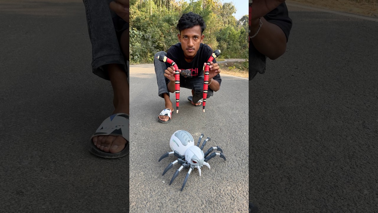 2 Ta Rc red Snake And Remote Wala Spider 🕷️  Unboxing 🤪