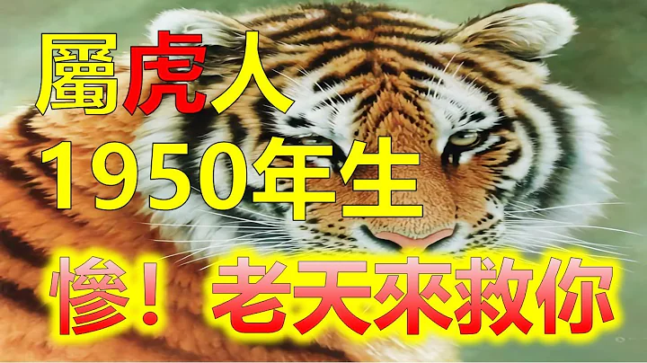 1950年出生屬虎人2024年龍年運勢，屬虎人的晚年運勢，若是運勢好，就安心要是運勢不好，就要想辦法提升運勢，1950年出生屬虎的人在2024年運勢會是怎樣的呢？2024生肖運勢十二生肖（生肖虎） - 天天要聞