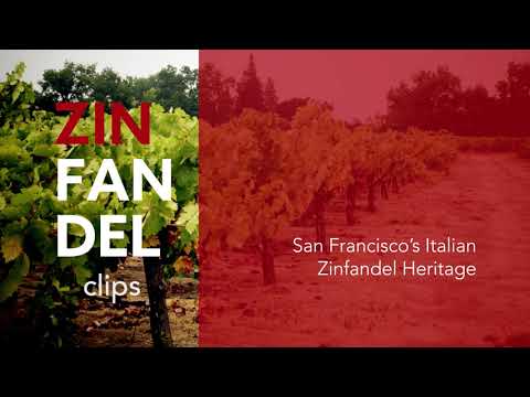 Zinfandel Clips:  San Francisco&#039s Historic Italian North Beach Neighborhood