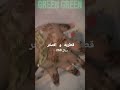 260 ريال