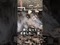 【こうふく君】560日目