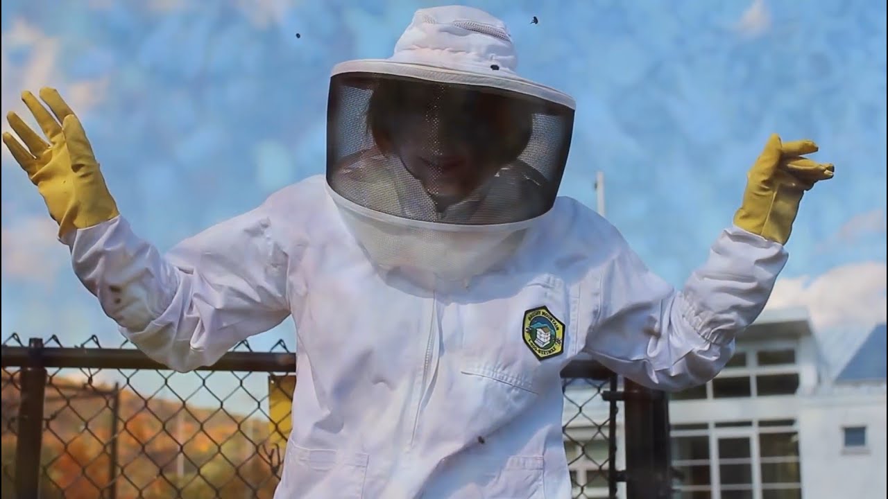 Buzzkill | Episode 1: The Beeginning - YouTube