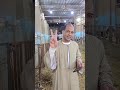 اسعار من 25 ألف جنيه مع المعلم حماده ابو الحاج 01091804998 