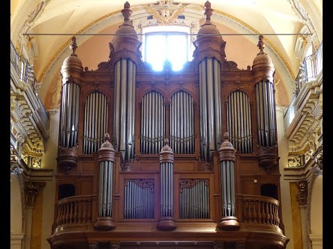Concert d'orgue de l'épiphanie, Stéphane et Antoine Eliot à la Cathédrale de Nice
