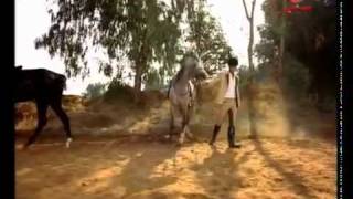 Najwa Karam- Mabkhabi 3Alayk مابخبي عليك 2008 For Becaaa