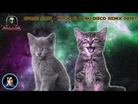 SPACE CATS - MAGIC FLY (Nu-Disco Remix 2018) Official Music Video 🐱