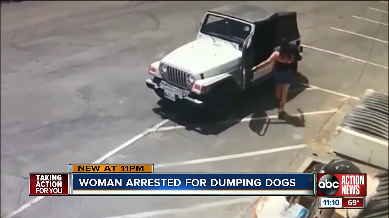Woman arrested after puppies dumped in trash can at Coachella - YouTube
