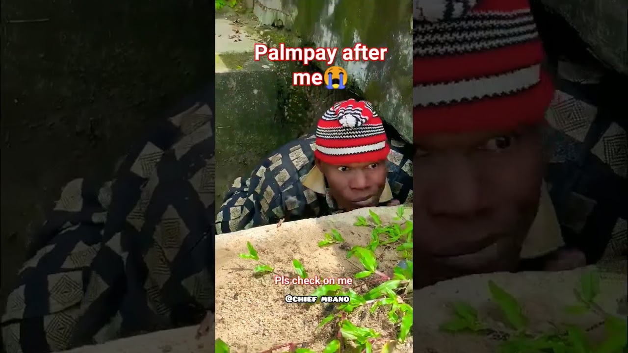 Palmpay loan| Palmpay agent 