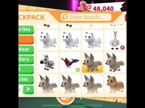 Neon Ermine (Adopt Me) - YouTube