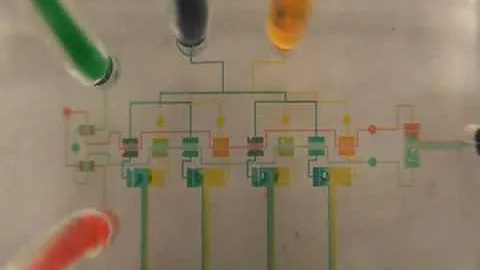Microfluidic oscillator in action