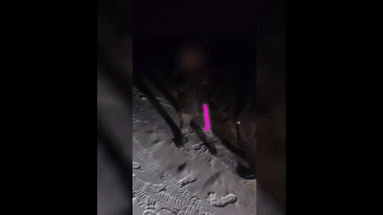 Спортики поймали кидалу. Спортики поймали кидалу. Расправа над закладчицей. Спортики поймали кидалу. Спортик наказал закладчицу.