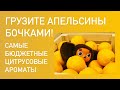 САМЫЕ БЮДЖЕТНЫЕ ЦИТРУСОВЫЕ АРОМАТЫ в коллекции. Находки и промахи. Парфюмы на жару.