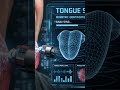 Tongue ID #shorts #youtubeshorts #crazyfacts2026  #facts #science #eyes
