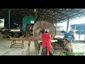 WOWW|||  LOG BALAU SUPER ~||| manual bandSAW#SAIZ THAI PAN✓✓