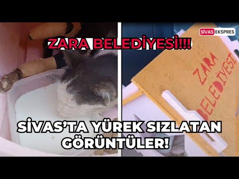 Sivas’ta Yürek Sızlatan Görüntüler!