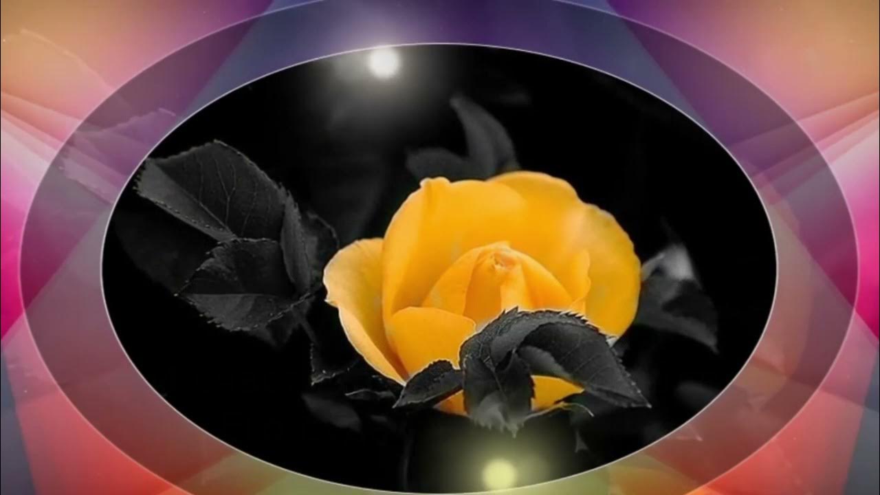 Коты аристократы герцогиня. Рождественский стихи я в глазах твоих утону можно. Гейне твои глаза сапфира два. Твои глаза как большие сапфиры. Твои глаза сапфира два.