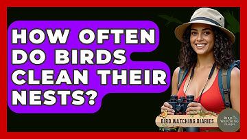 How Often Do Birds Clean Their Nests? - Bird Watching Diaries