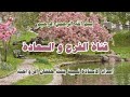 فقلت استغفروا ربكم 