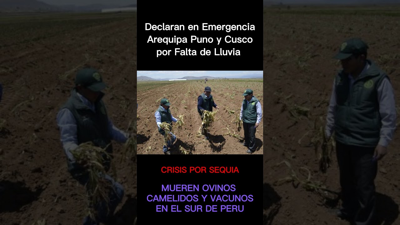 SEQUIA 2022 EN EL SUR DEL PERU 😢