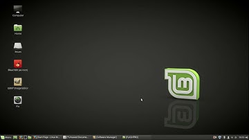 how to install macromedia flash on linux mint