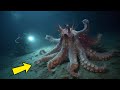 Scientists Find the Most Venomous Sea Monster Ever