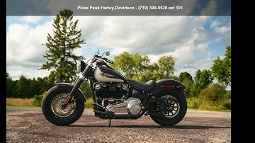 2021 Harley-Davidson Softail Slim® Cruiser - Pikes Peak H...