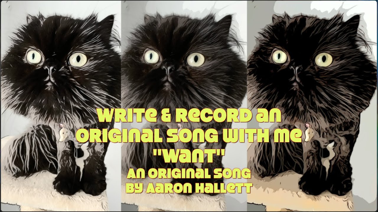 Write & Record an Original Song With Me "Want" an Original Song by Aaron Hallett