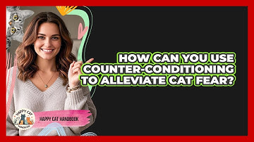 How Can You Use Counter-conditioning To Alleviate Cat Fear? - Happy Cat Handbook