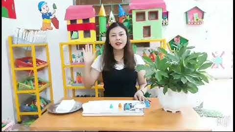 Sự bùng nổ của sắc màu