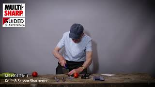 MS1901   2 in 1 Knife & Scissor Sharpener